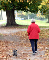 Dog Boarding