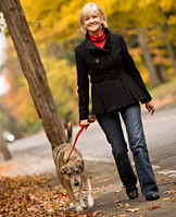 Dog Boarding