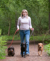 Dog Home Boarding Leighton Buzzard Dog Home Boarding Leighton Buzzard