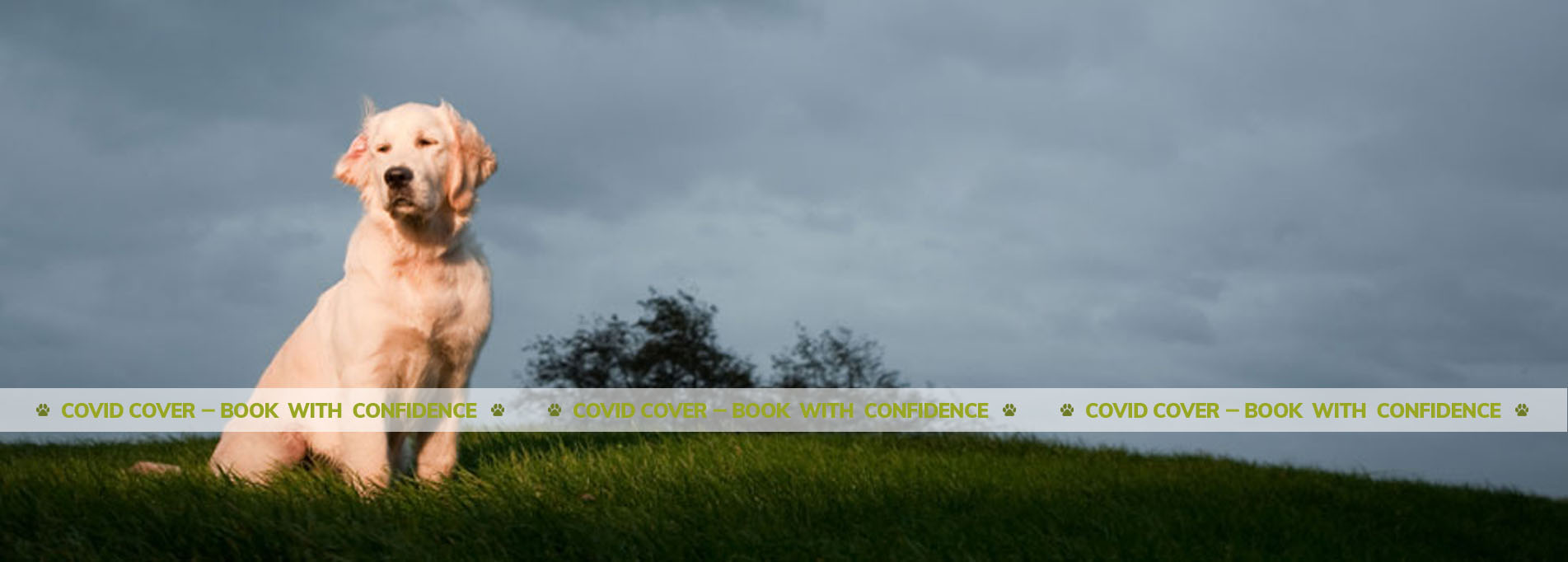 Dog Boarding Bedfordshire